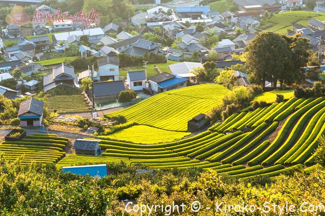 日本の田舎の風景