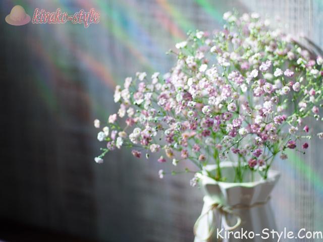 カスミソウ かすみそう