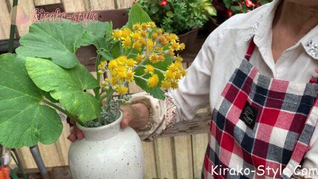 シロタエギク　カボチャの葉　花瓶